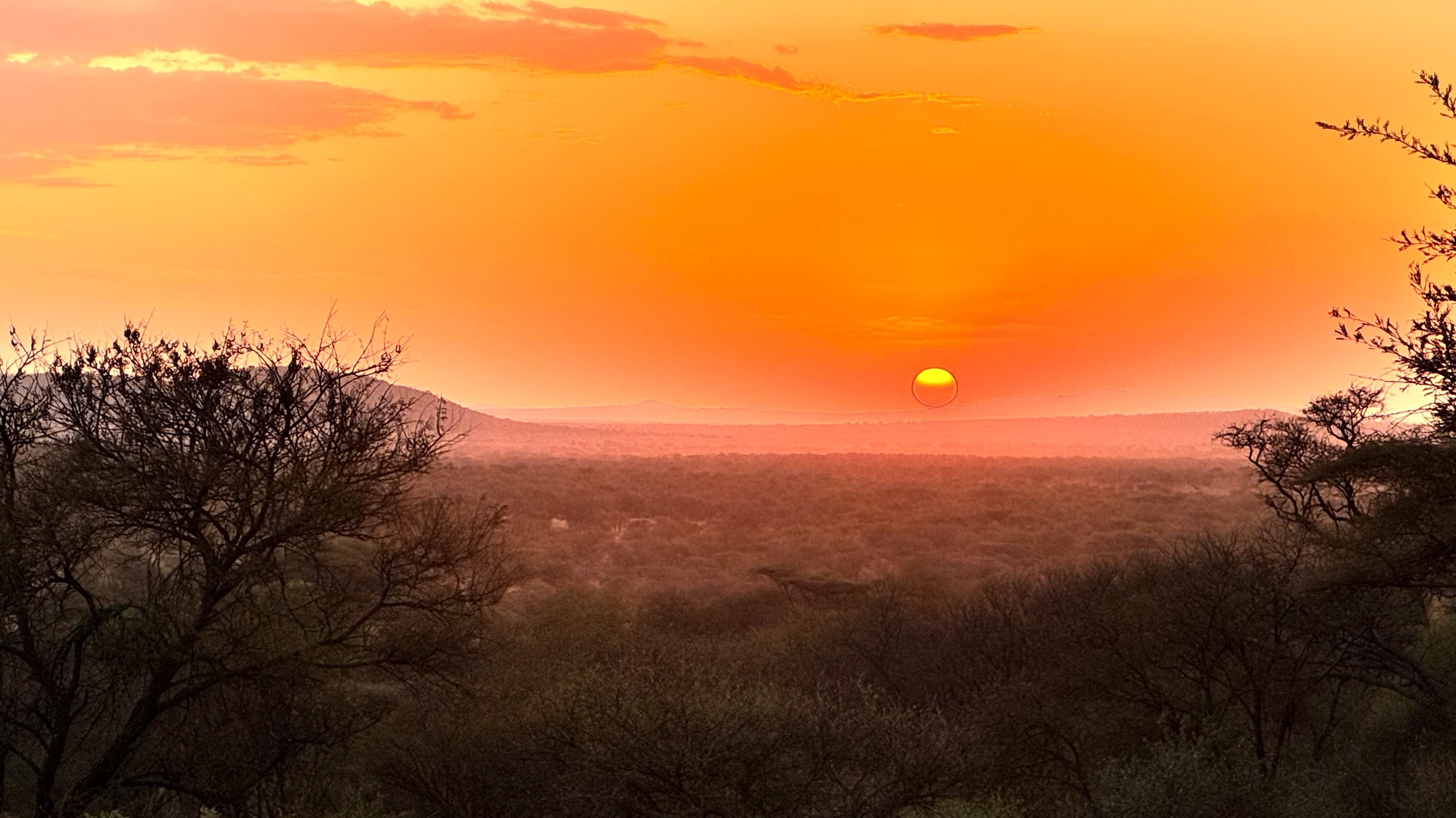 Serengeti sunset